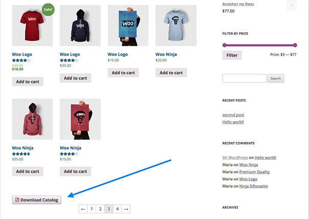 store-catalog-pdf-download-button